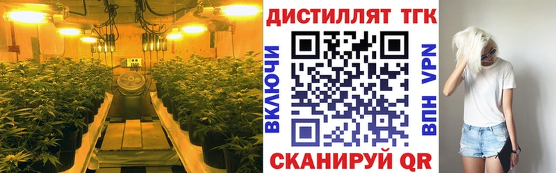 Дистиллят ТГК THC oil Клин