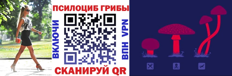 кракен маркетплейс  хочу наркоту  Клин  Псилоцибиновые грибы мухоморы 